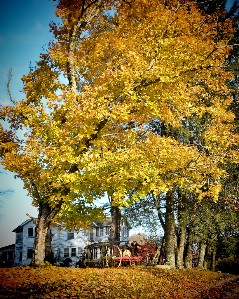 saulsville Alan Johnston Flickr