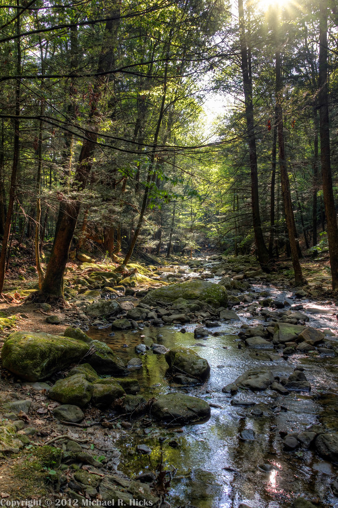 Frozen Head State Park Frozen Head State Park Flickr