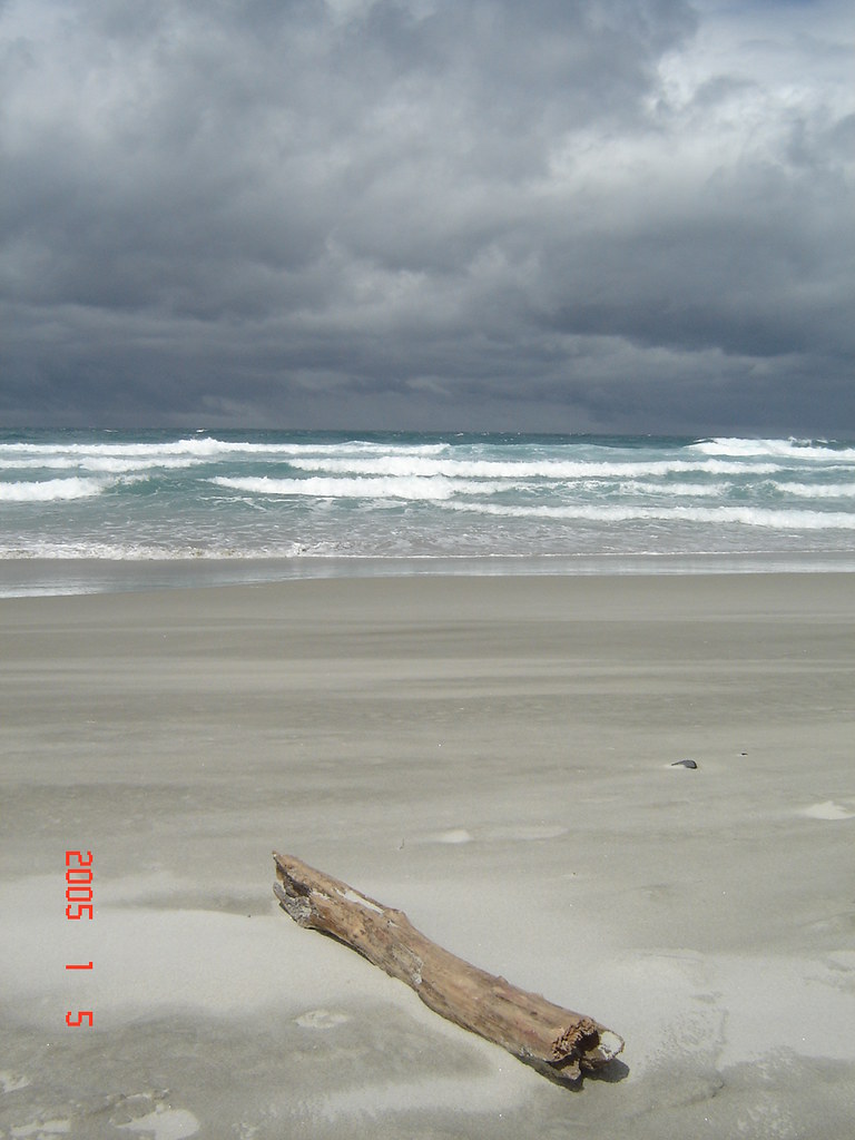 Blackhead Beach,Dunedin ,Coastal Otago, South Island,New Z… Flickr