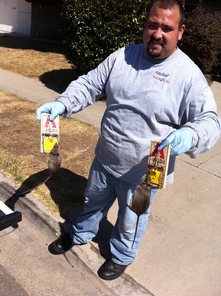 Adios Pest Control, San Diego, Pest Control Service, "Our … Flickr