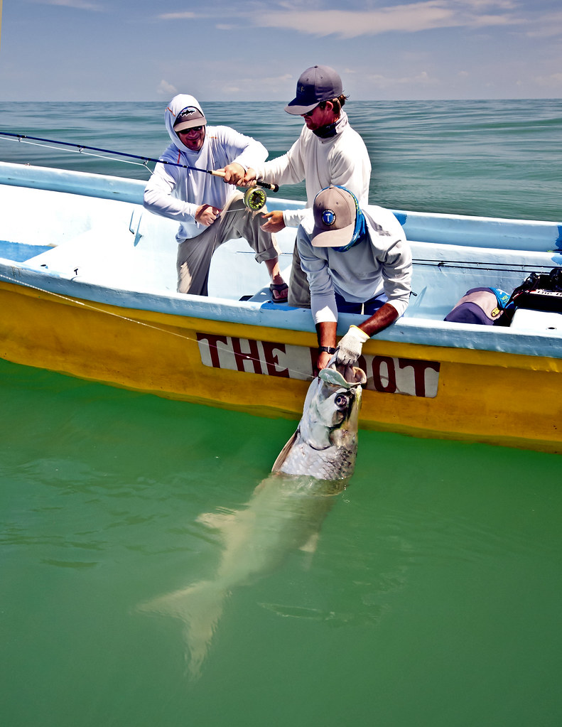 costa_rica_tarpon.5010 Fly fishing at Tarponville in Costa… Flickr