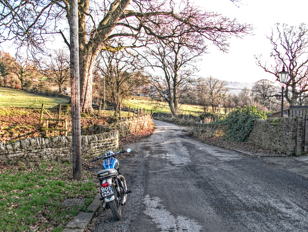 Brunthwaite Lane, Steeton trellisart Flickr