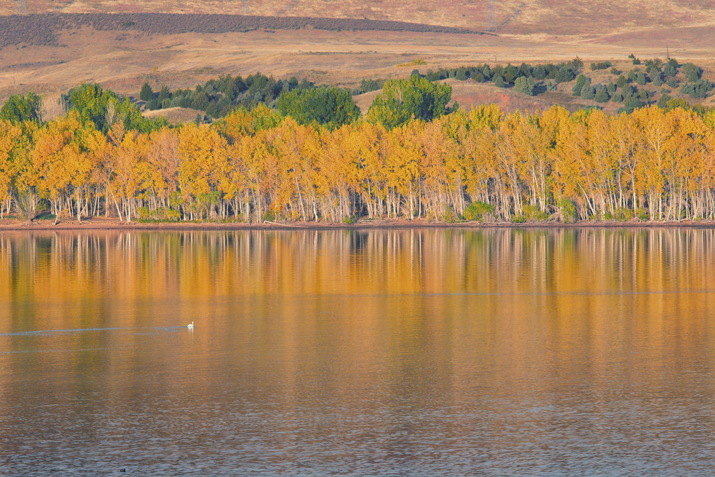 Fall Colors, Colorado Chatfield Lake State Park Flickr