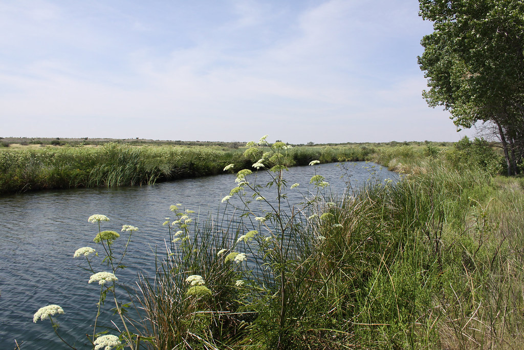 Black River Recreation Area Visit Carlsbad New Mexico