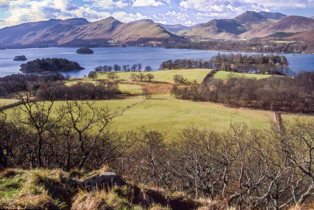 Derwentwater from Castlehead Wood Derwentwater from Castle… Flickr