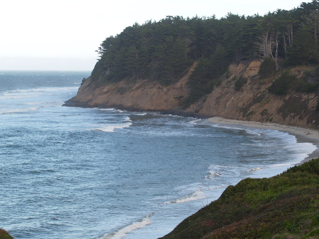 seal cove sn 0827 6.3 tide 011911 Seal Cove Date 1/1911 … Flickr