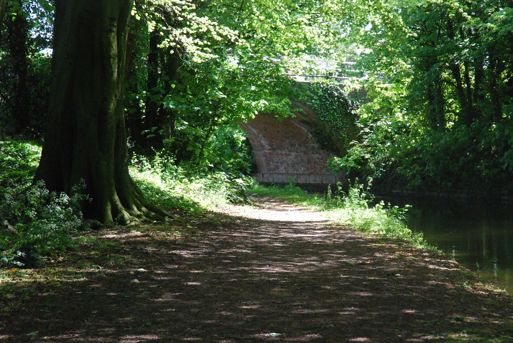 Canal Forest Bottom lock (57) to Cemetery bridge (54b) 3 … Flickr