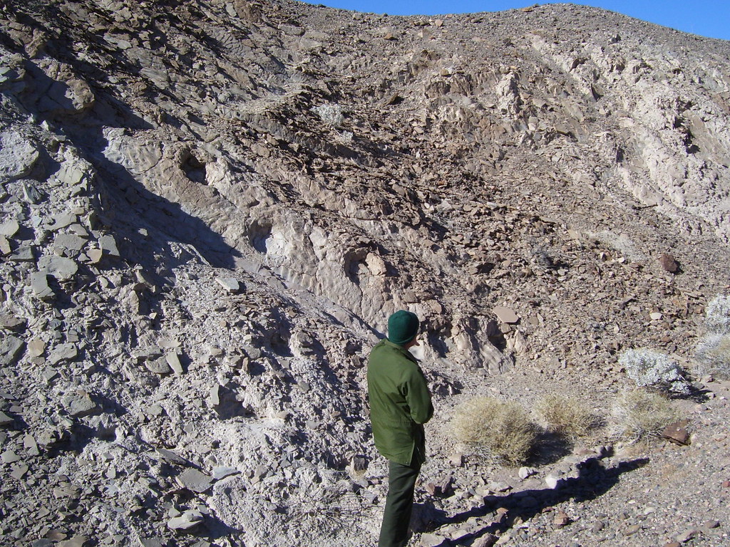 COPPER CANYON DEATH VALLEY MASTEDON TRACKS buffalolady Flickr