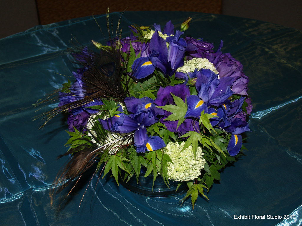 Peacock Acres Flickr