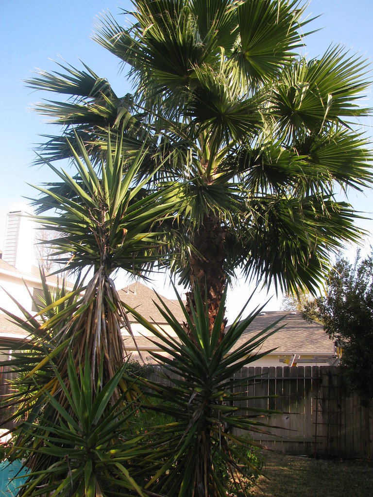 Banning Point 013 jcooper711 Flickr