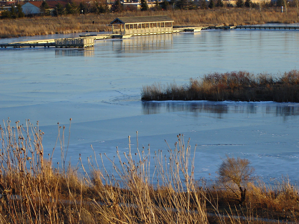 Flickriver Photoset 'Gallery Park/ Lake Glenview' by Urban Woodswalker