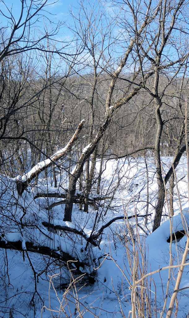Winter5 at Whitewater State Park near Elba, MN pmpilgrim Flickr