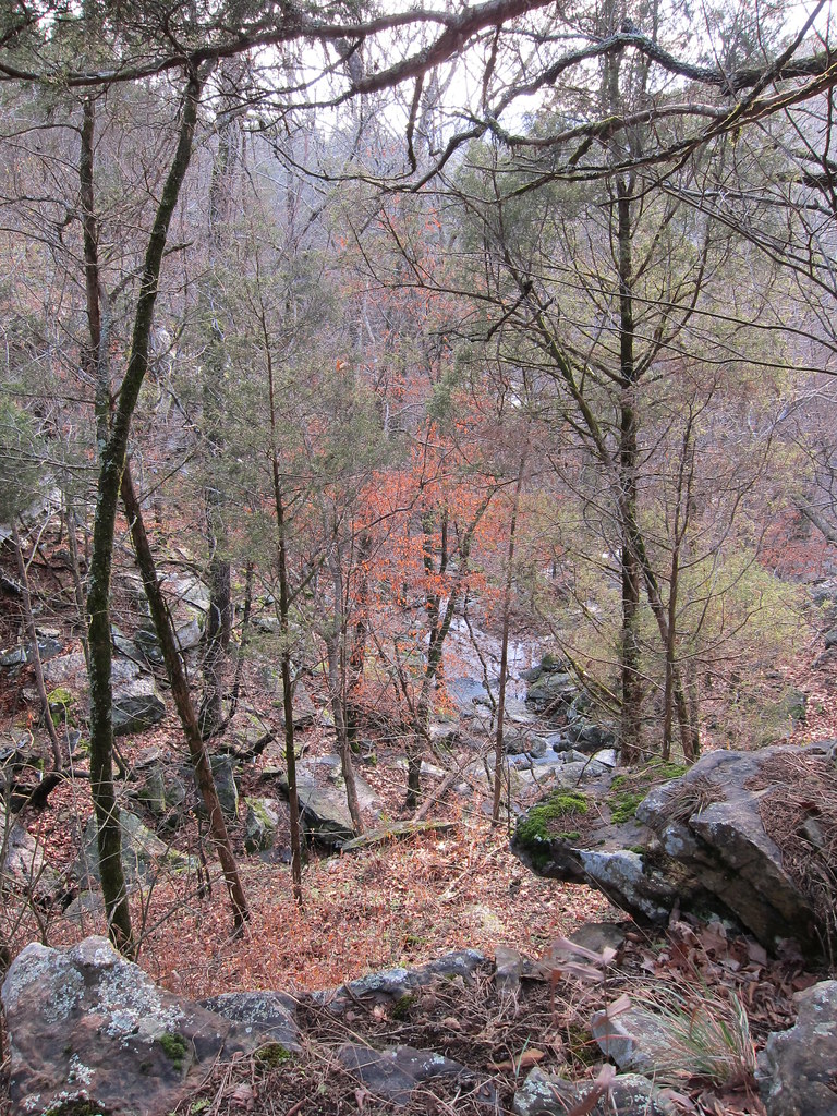 walking the lee creek trails Kelly Loris Flickr