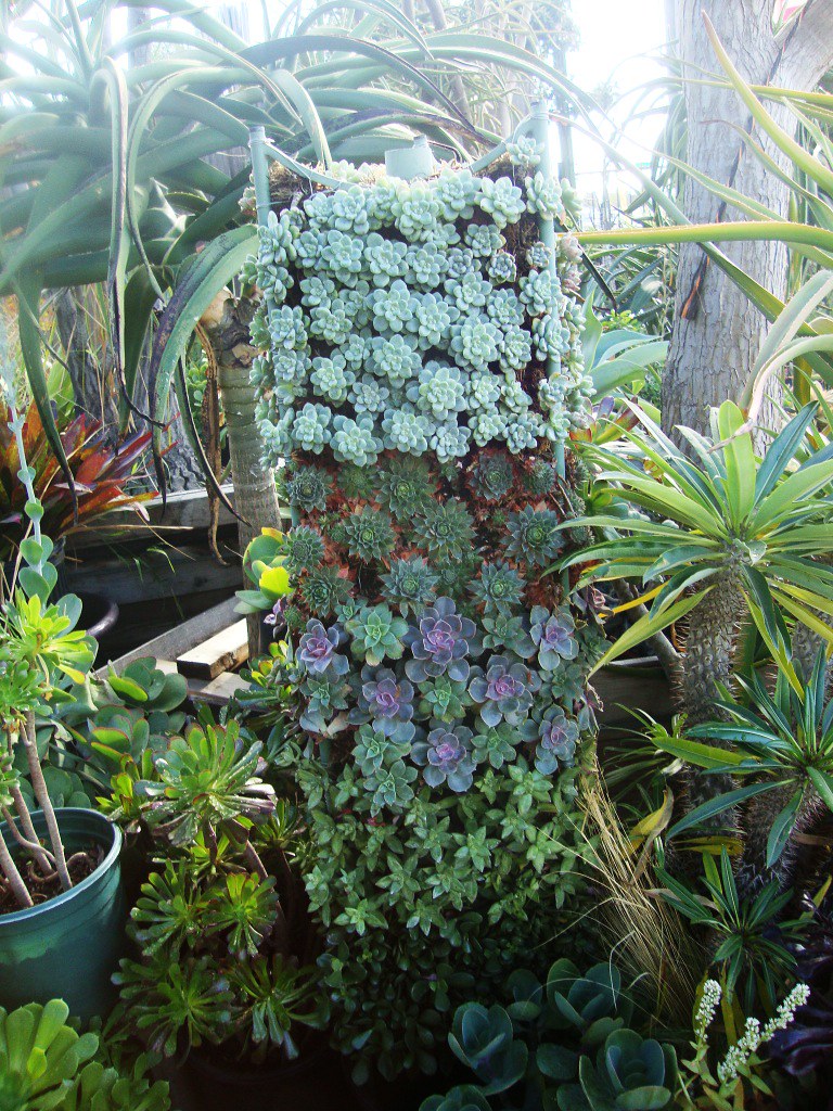 California Cactus Center Flickr