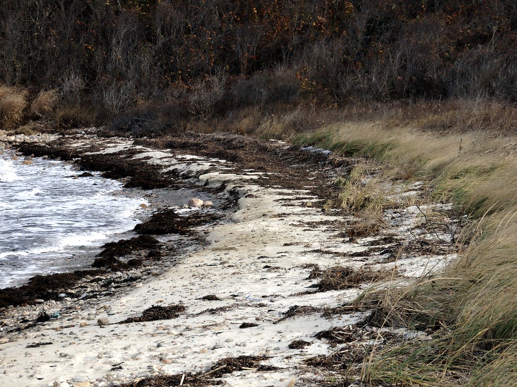 Windy Day at Gansett (Woods Hole, MA) takomabibelot Flickr