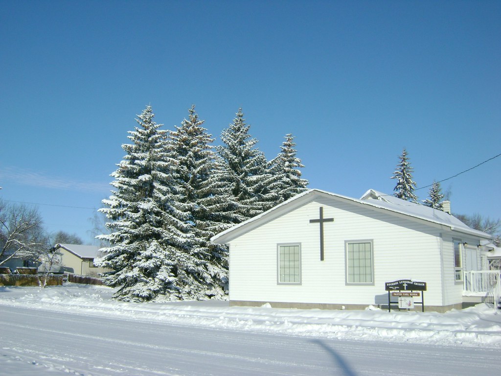 DuchessAlbertaCanada15 Ann Brampton Flickr