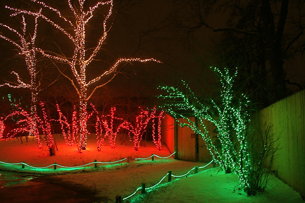 Toledo Zoo Christmas Lights Red and Green Christmas Lights Toledo Zoo 2009 Toledo Zoo… Flickr