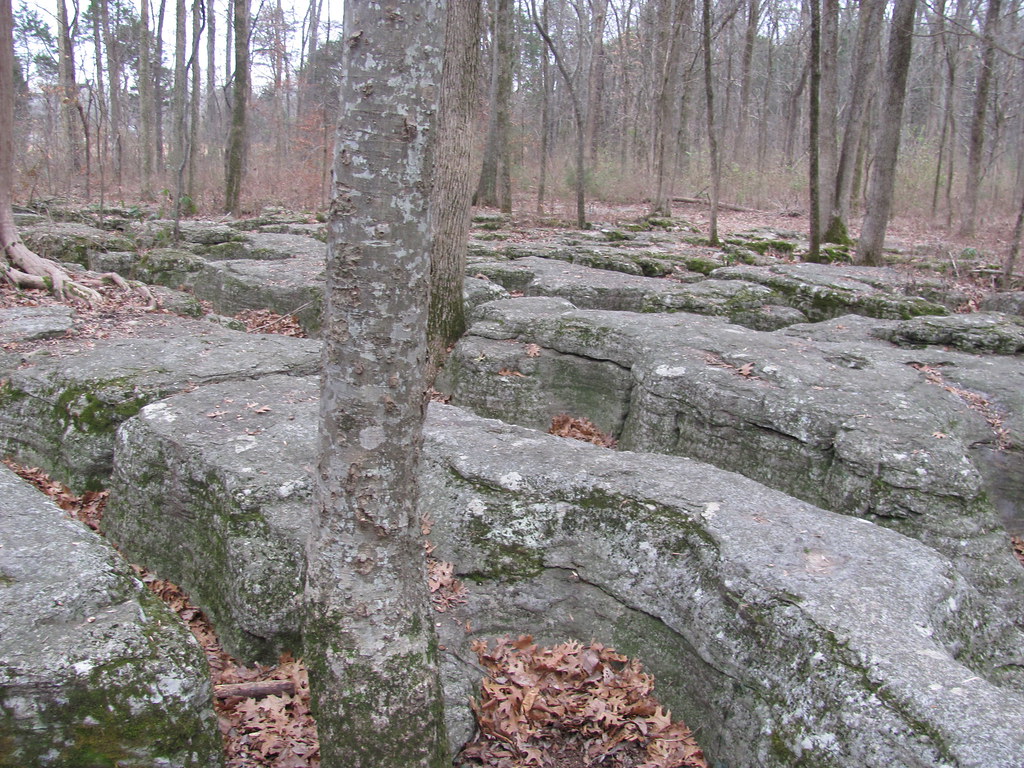 006 Stones River Battlefield, the Slaughter Pen Murfrees… Flickr