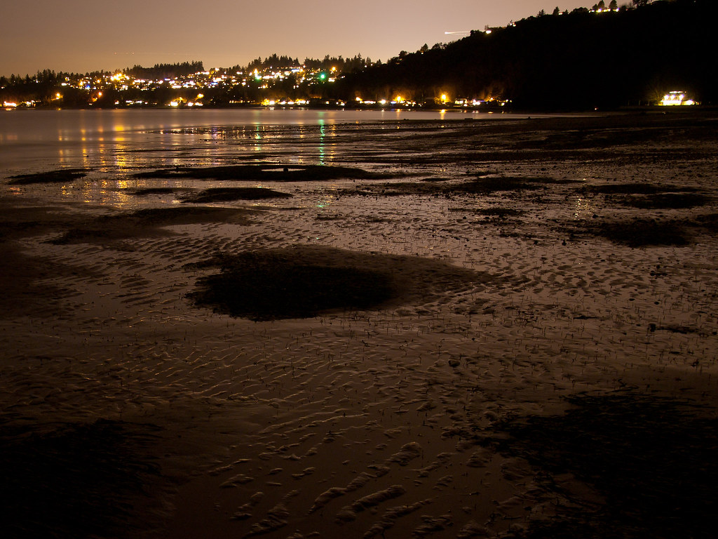 Moonlight Beach Walk January 1, 2011 Scenes from the Env… Flickr
