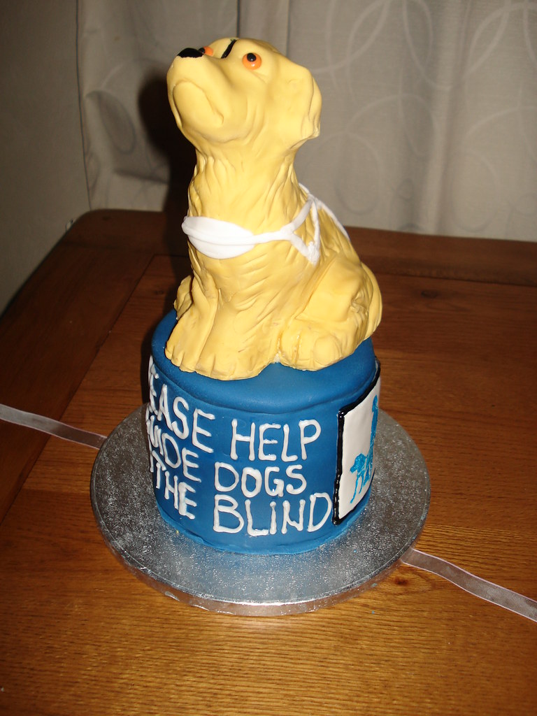 Guide Dogs Money Box Cake Lou Flickr