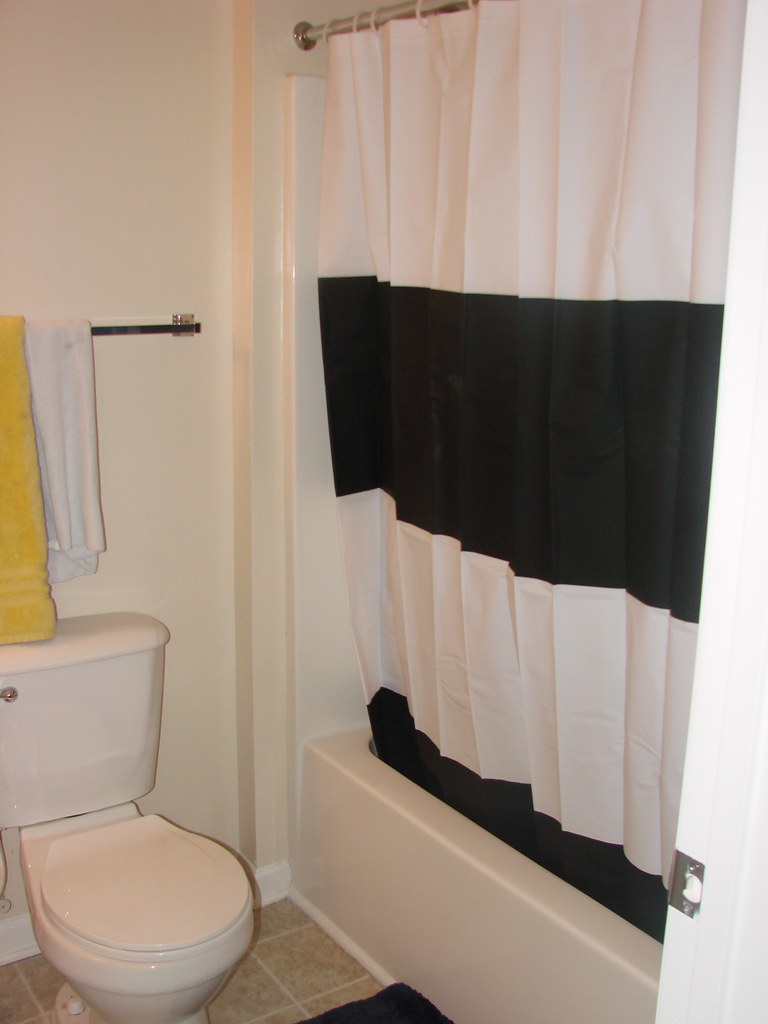 DSC02080 I just really like my shower curtain msmcclain Flickr