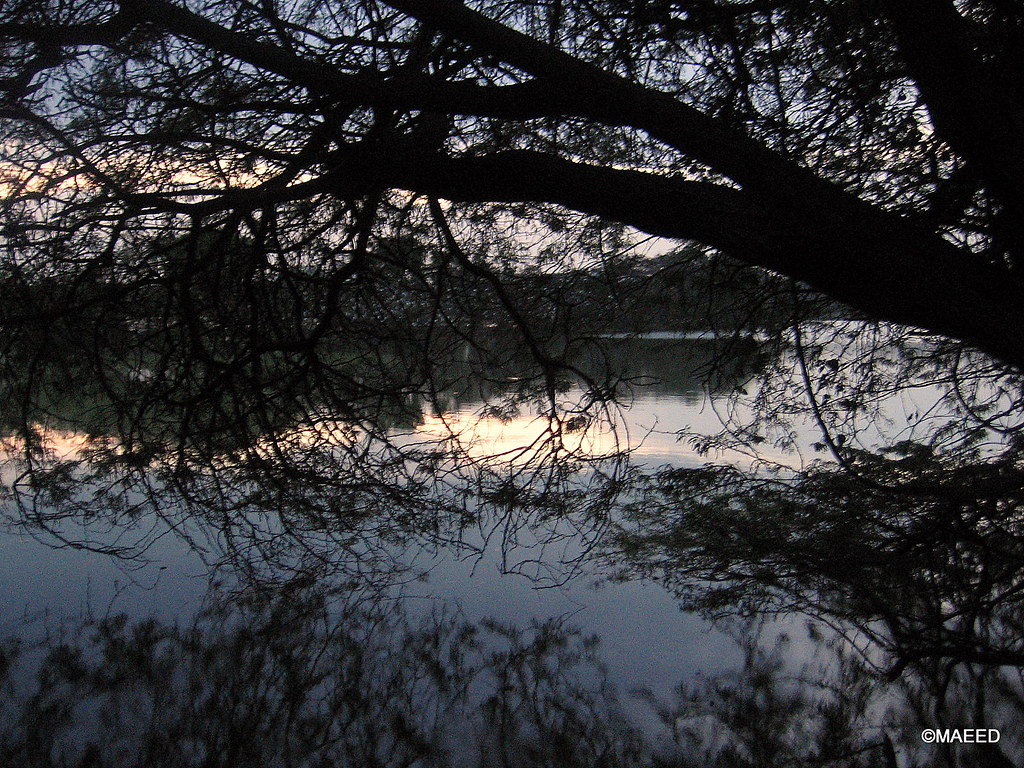 Kukkarahalli lake, Mysore 09 Kukkarahalli Lake also called… Flickr
