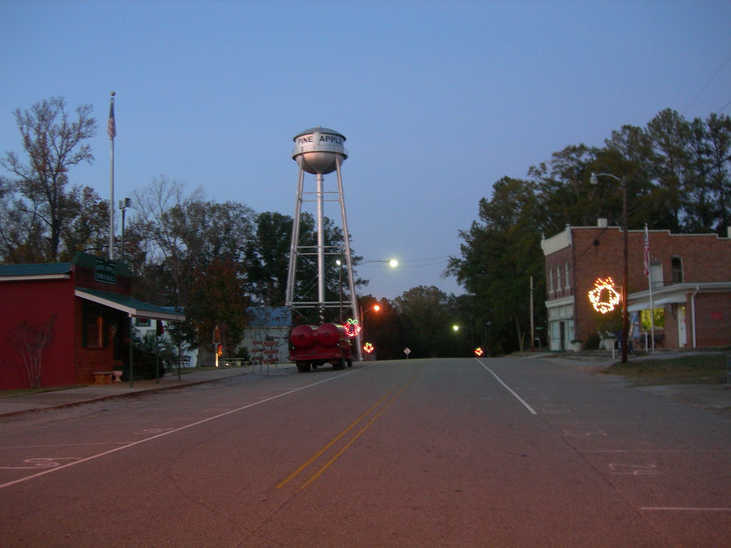 Downtown Pine Apple, Alabama Jimmy Emerson, DVM Flickr