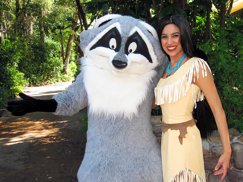 Raccoon From Pocahontas Costume
