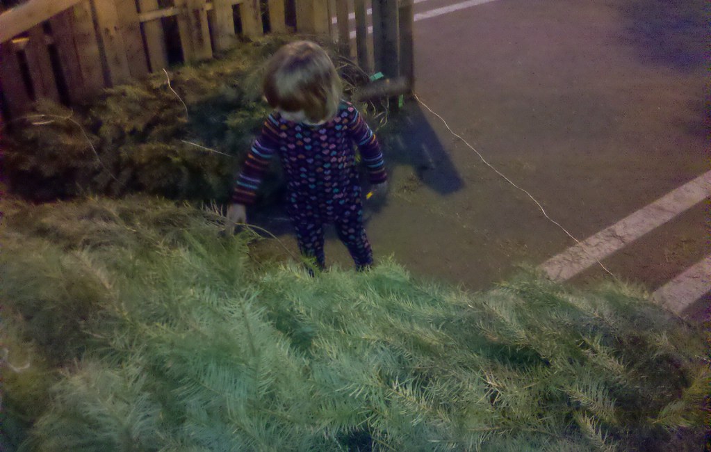 Picking out a Christmas Tree Kathryn Fram Flickr