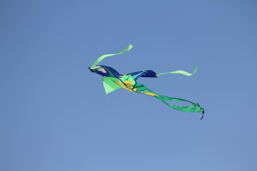 10th Annual Lake Harriet Winter Kite Festival 10th Annual … Flickr