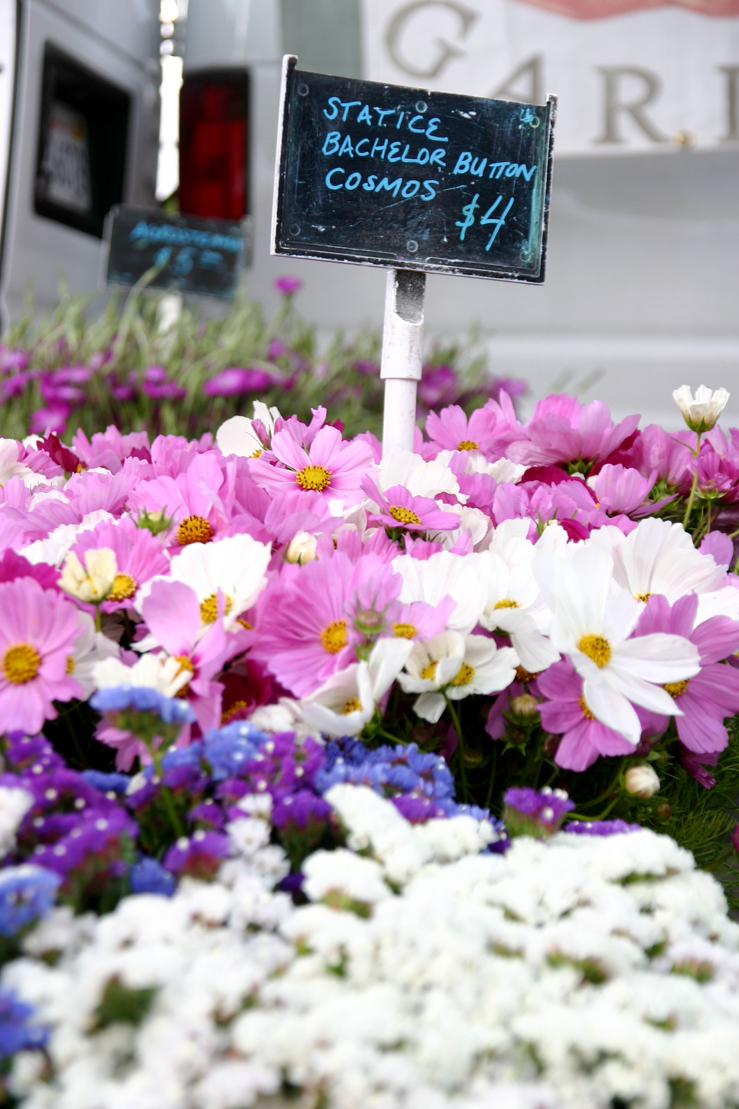 Fresh Flowers Flickr