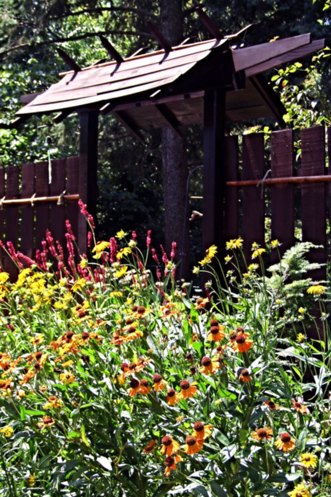 Zen Garden gate and perennial border Ron Frazier Flickr