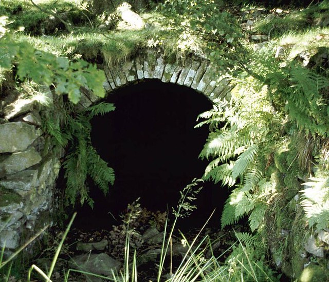 Windber Level Cwmdare, Aberdare, South Wales Used by kin… Flickr
