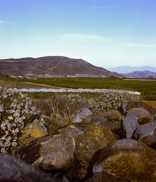Flickr The Lake Mathews Pool