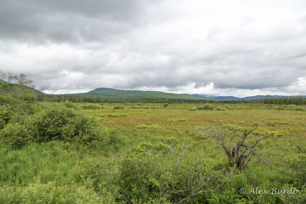 Elevation of Victory State Forest, Victory, VT, USA Topographic Map