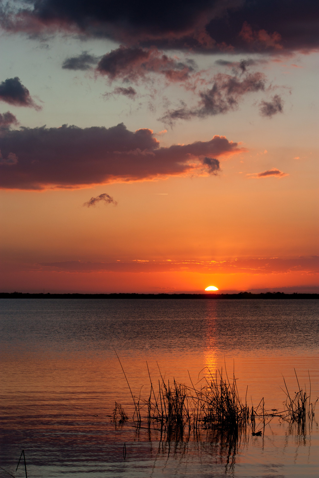 Lake Washington Sunsets Flickr