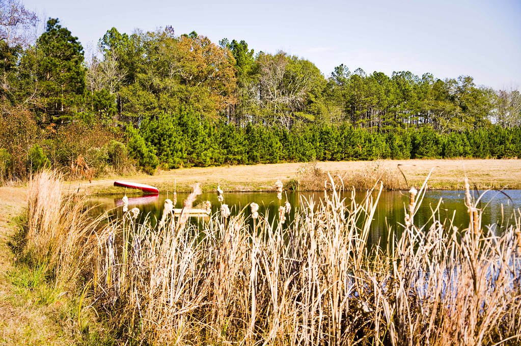 Brant Family Farm 25 For a story to be posted today, watch… Flickr
