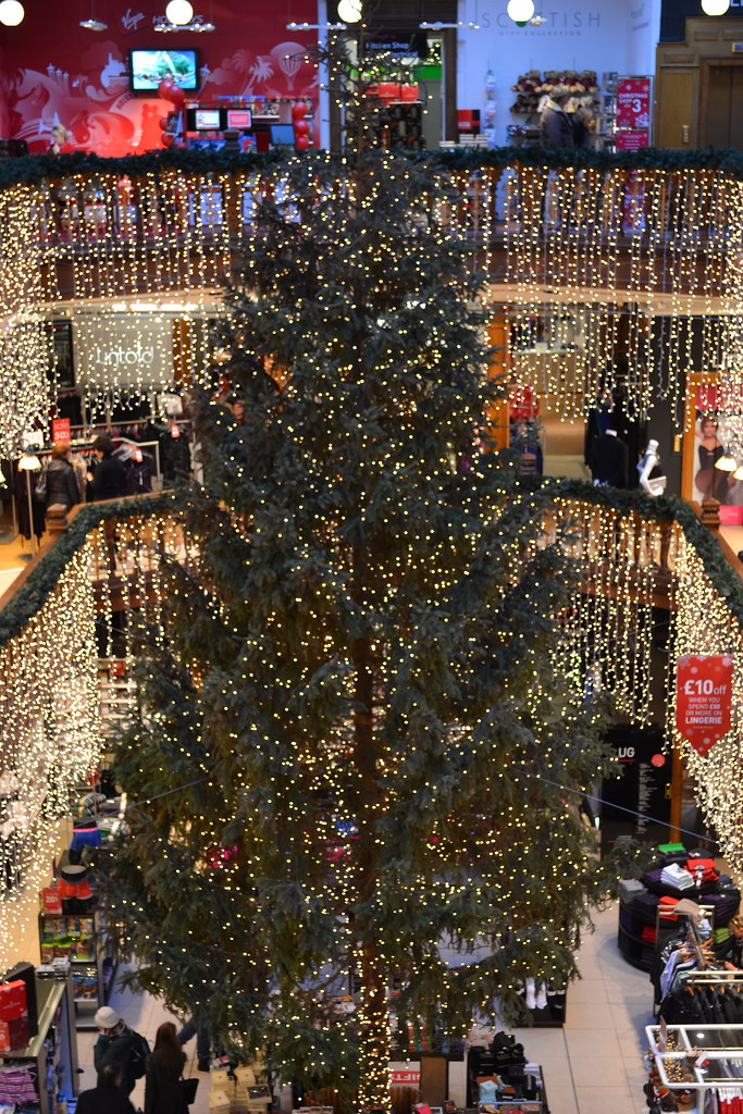 Jenners Christmas Tree John McBride Flickr