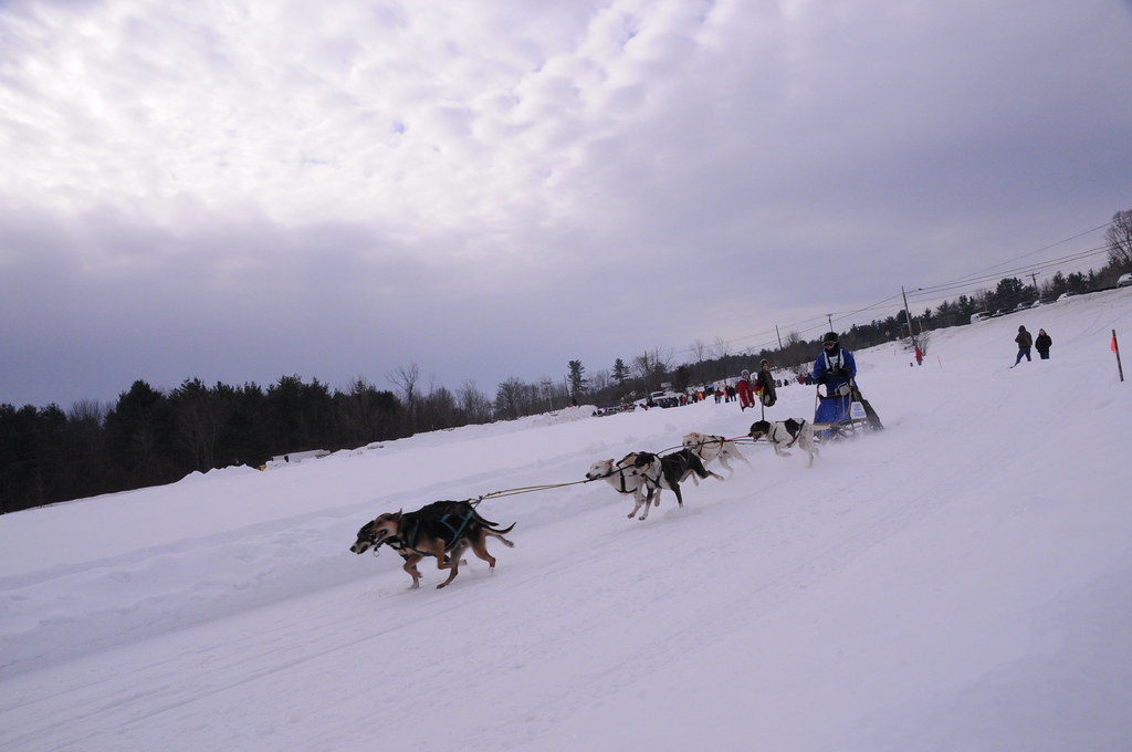 World Championship Sled Dog Derby Laconia, NH February 12,… Flickr