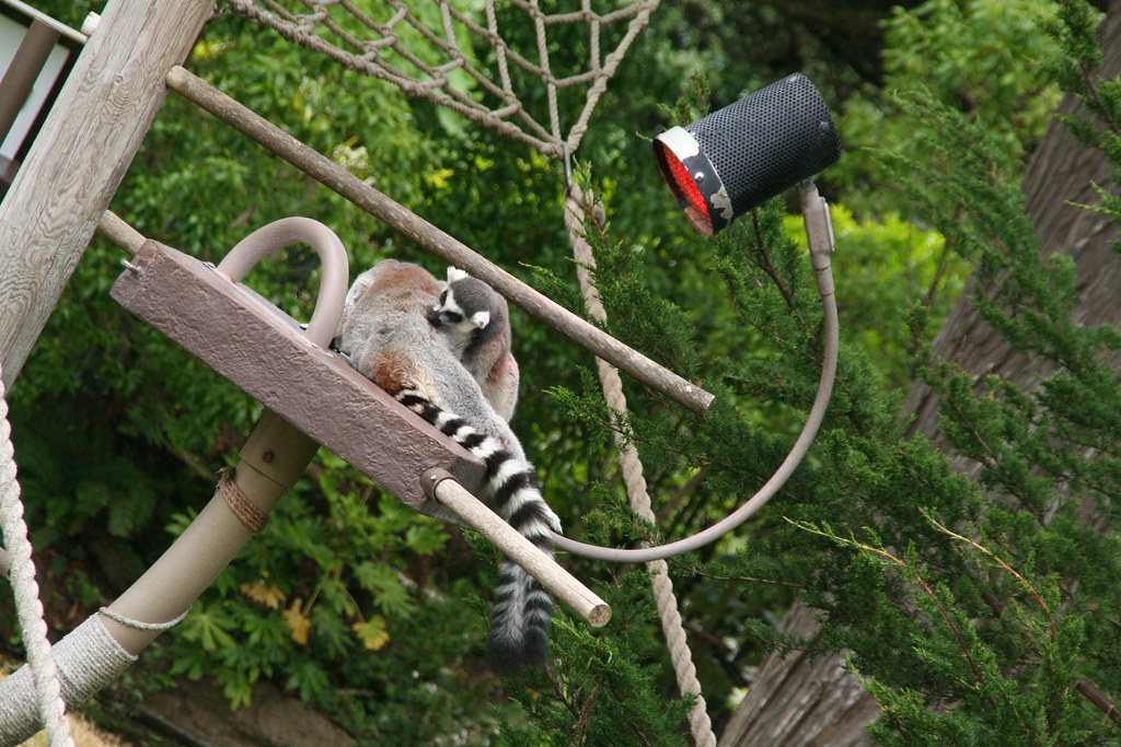 Mama, baby, and heating lamp janeymoffat Flickr