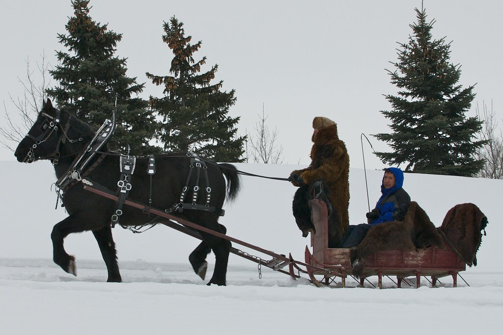 2011 Horse and Sleigh Festival Woodbury, MN Once again, … Flickr