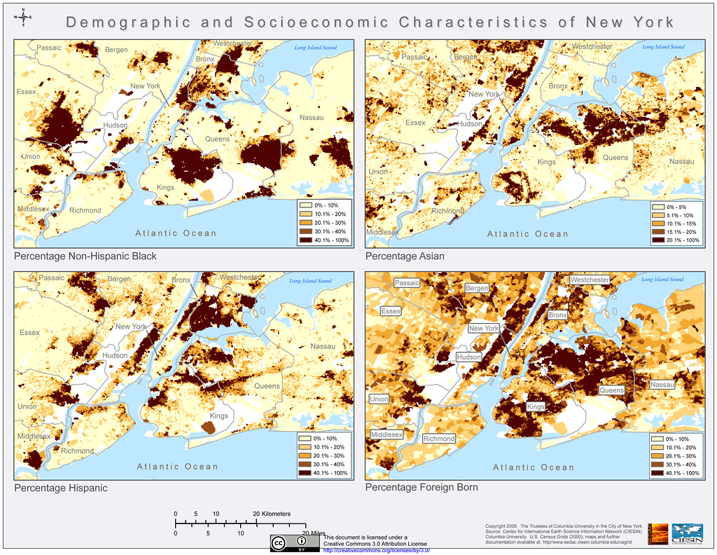Demographic and Socioeconomic Characteristics of New York Flickr