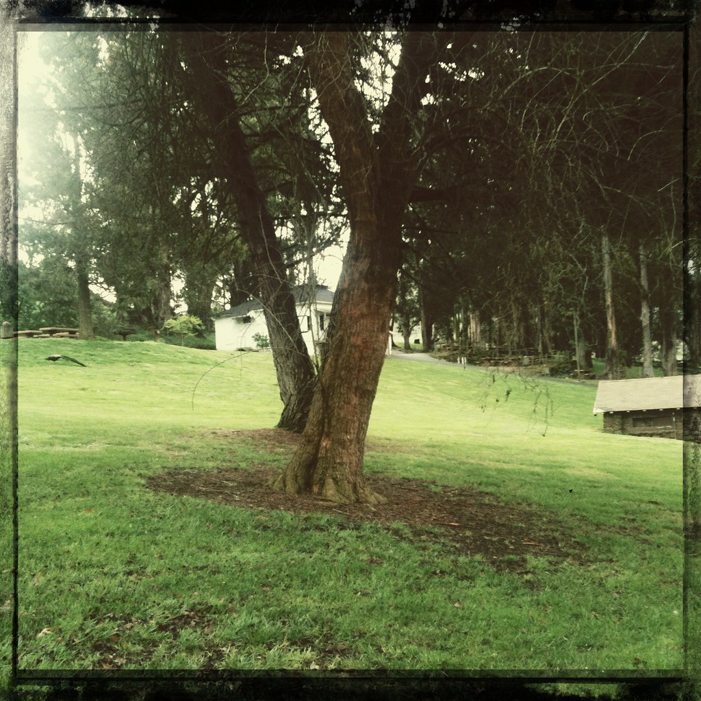 Trunk My View blue rock springs park > vallejo, californ