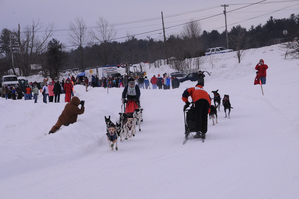 World Championship Sled Dog Derby Laconia, NH February 12,… Flickr