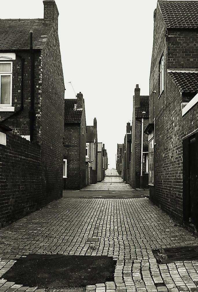 back yard 2 / back lane Darlington by Cinkowski a photo on Flickriver