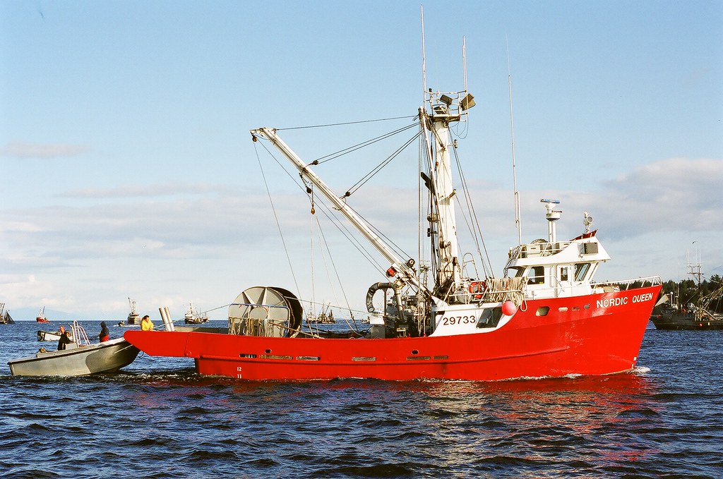 FV Nordic Queen Purse seining for herring off Parksville. Eric