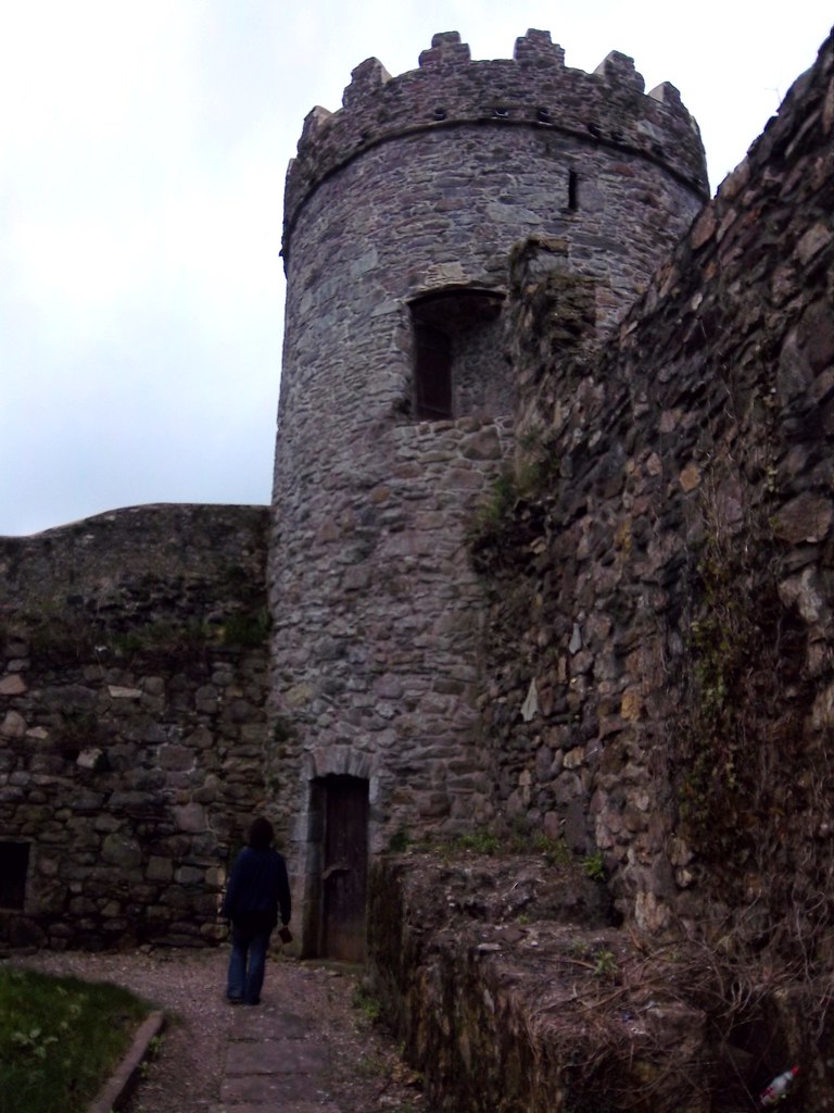 39 part of the old Viking walls that once surrounded the c… Flickr