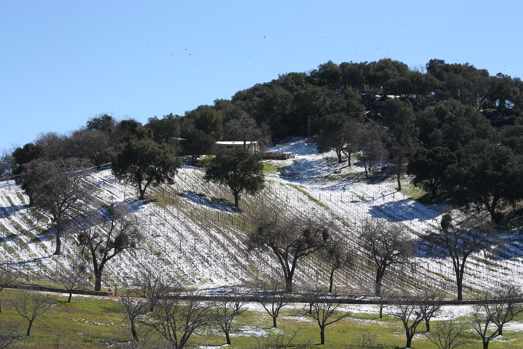Paso Robles, Ca Snow!!!! Last Sunday outside Paso 033 Flickr