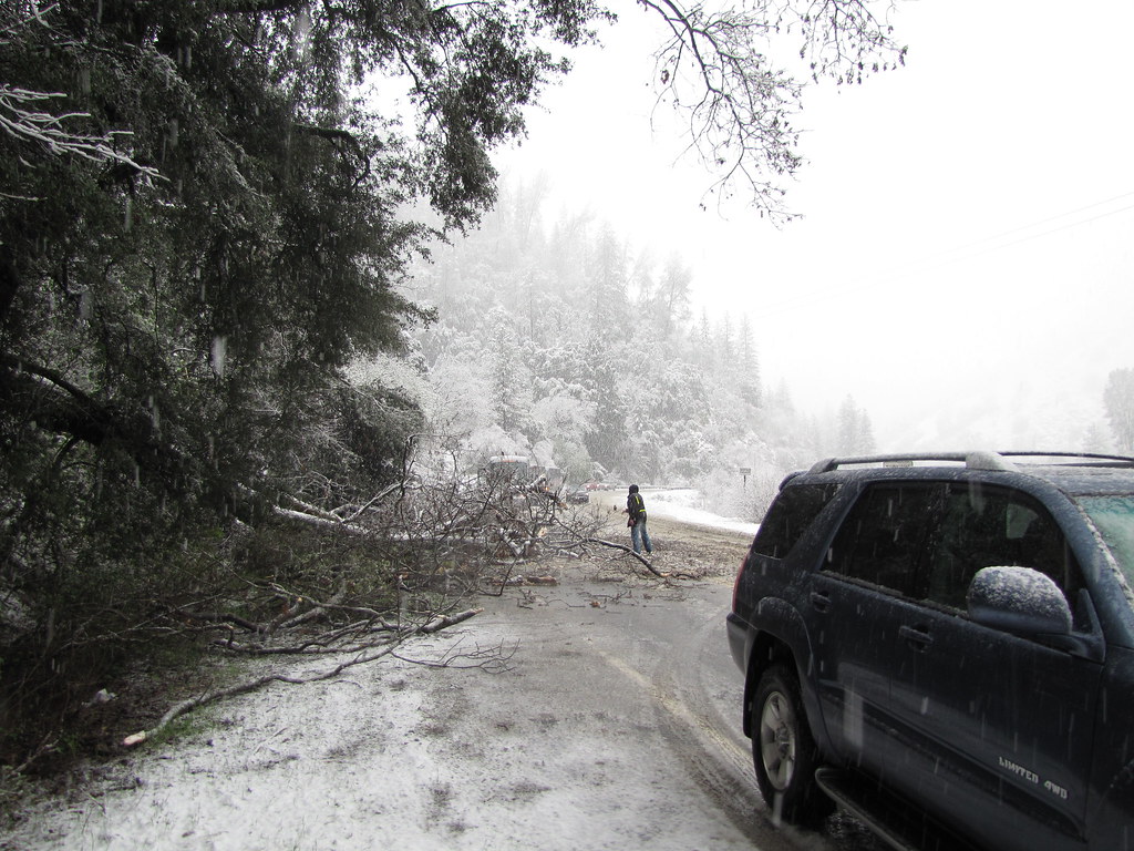 The Great Yosemite Evacuation of 2011 Mike Wexler Flickr