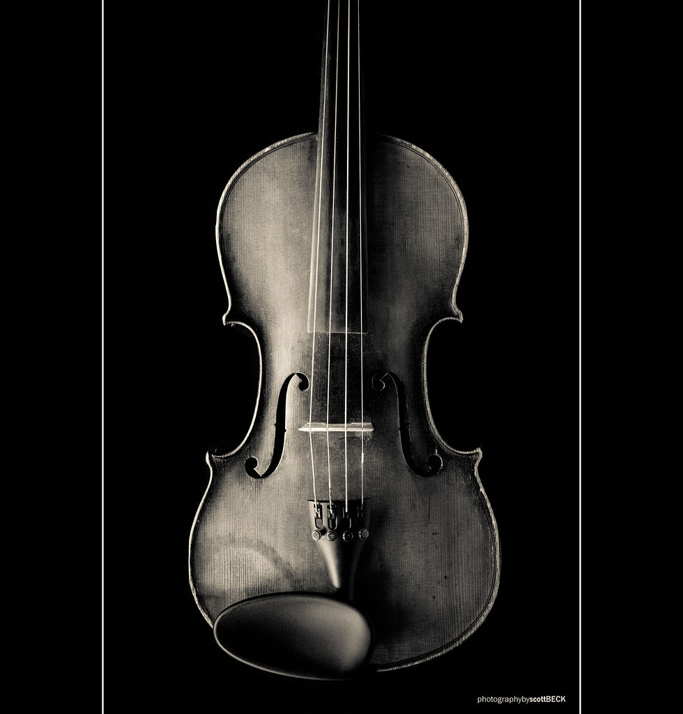 G D A E Violin Strings Our Daily Challenge Order The st… Flickr
